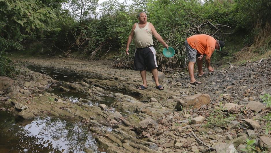 aa_picture_20150823_6112002_high