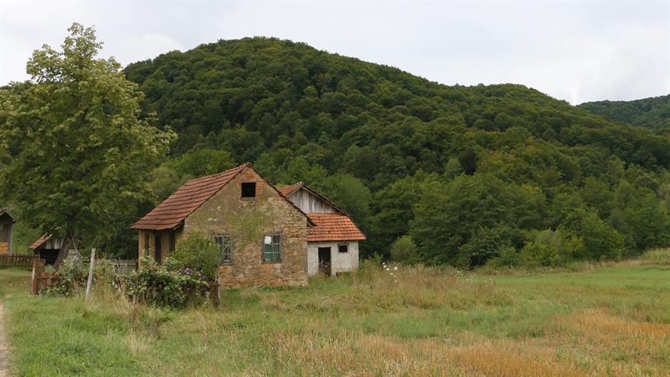 aa_picture_20150823_6112009_high