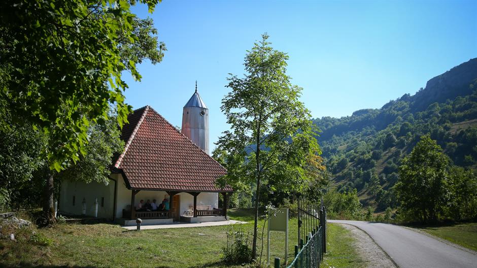 aa_picture_20150925_6374092_high