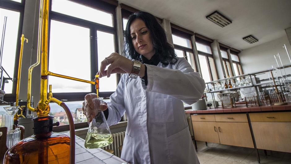 aa_picture_20151017_6545650_high