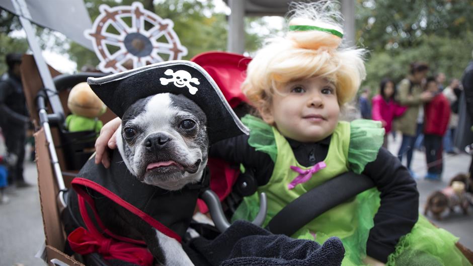 aa_picture_20151025_6617360_high