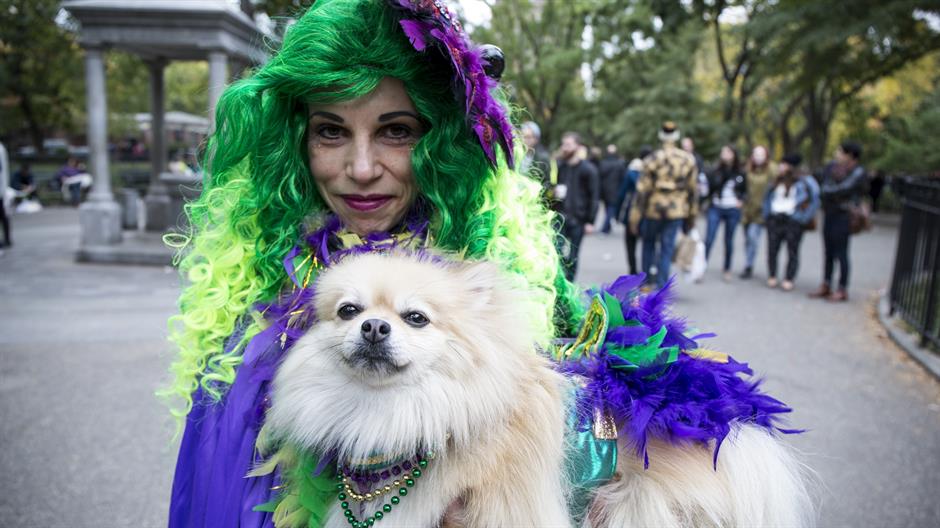 aa_picture_20151025_6617369_high