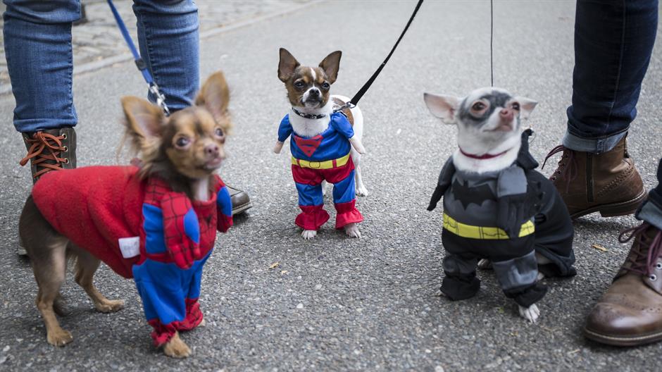 aa_picture_20151025_6617370_high