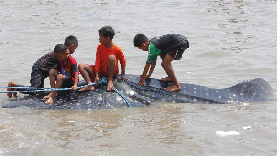 aa_picture_20151027_6631917_high