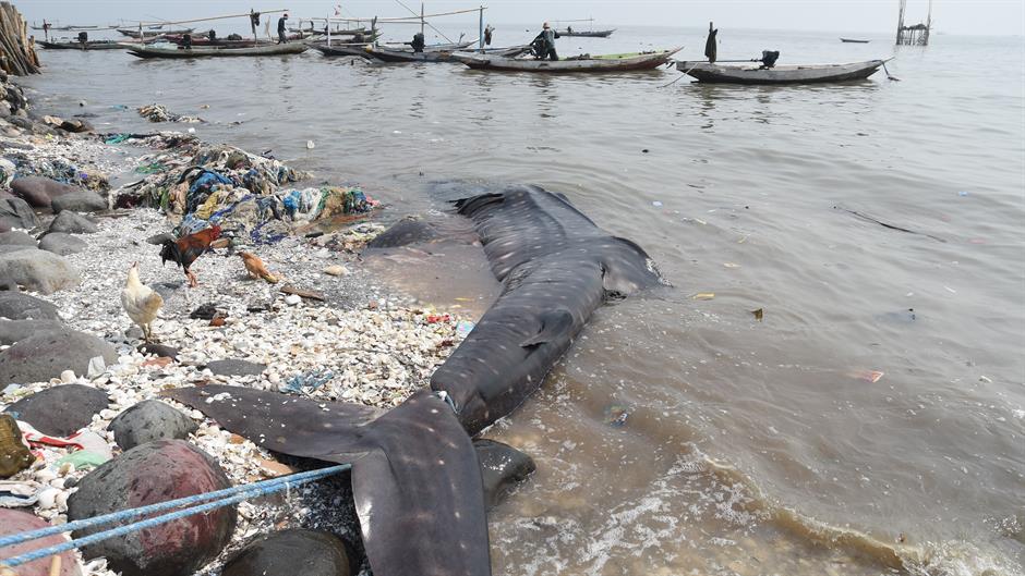 aa_picture_20151027_6631918_high