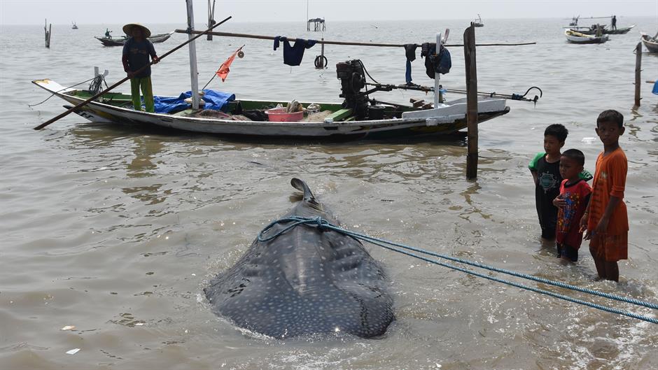 aa_picture_20151027_6631924_high