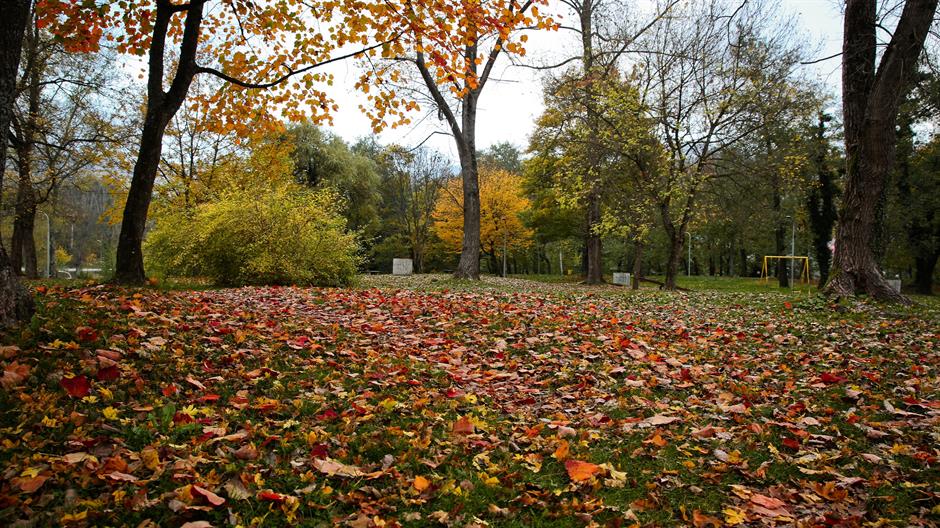 aa_picture_20151107_6738304_high