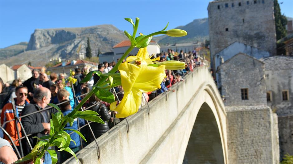 aa_picture_20151109_6749597_high