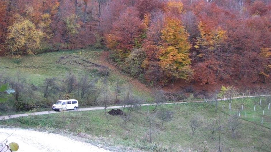 aa_picture_20151110_6756949_high