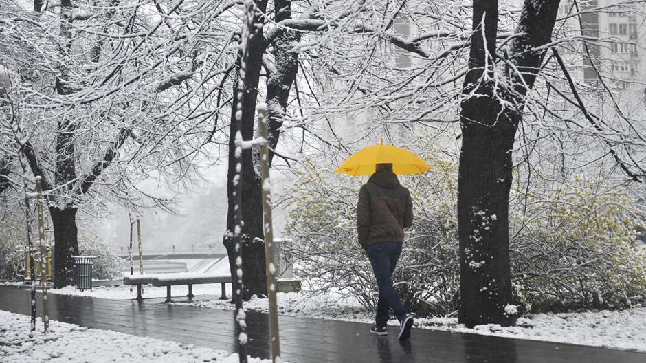 aa_picture_20151121_6857316_high