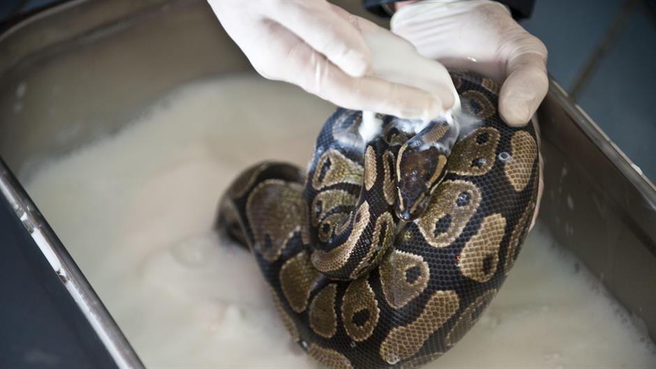 aa_picture_20151210_7021827_high