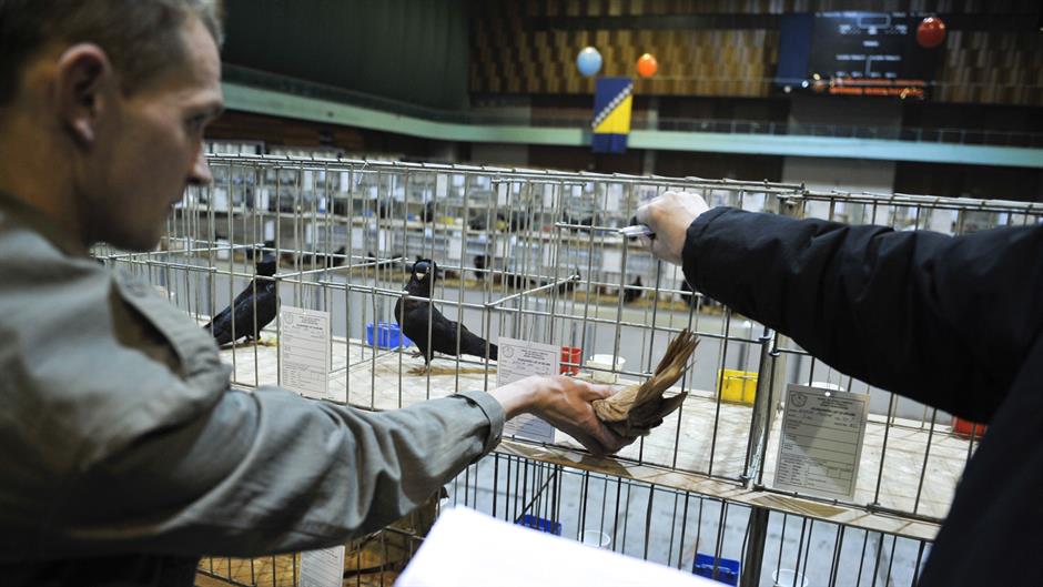 aa_picture_20151211_7027956_high