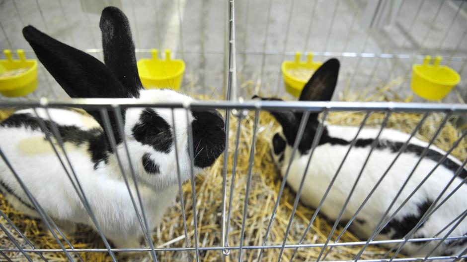 aa_picture_20151211_7027960_high