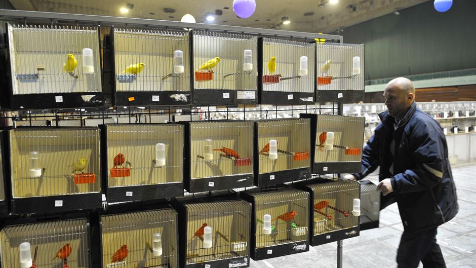 aa_picture_20151211_7027967_high