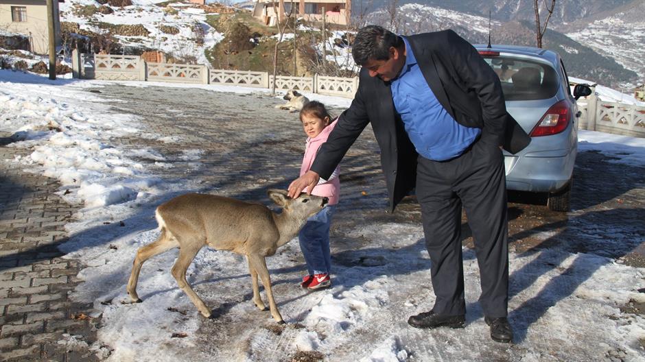 aa_picture_20151220_7099285_high