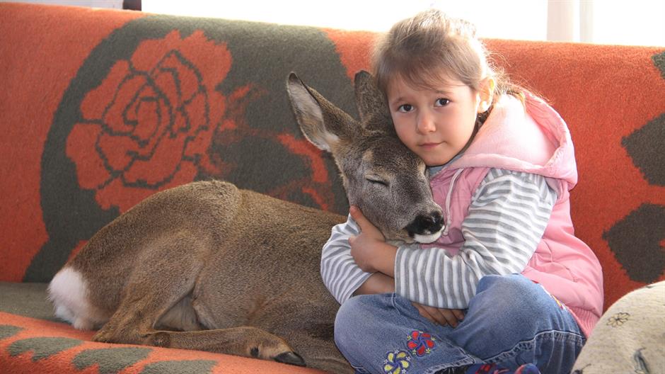 aa_picture_20151220_7099298_high