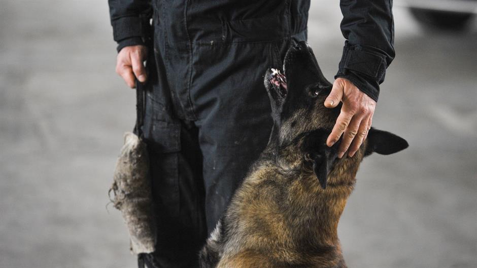 aa_picture_20160102_7199920_high