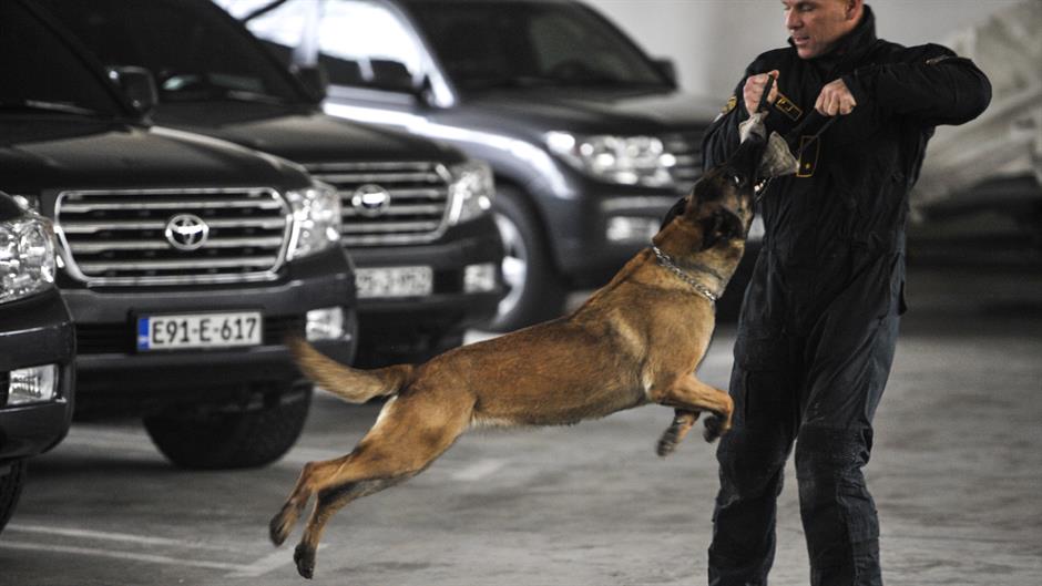 aa_picture_20160102_7199925_high