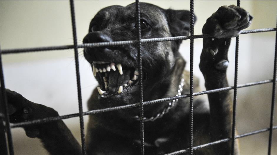 aa_picture_20160102_7199928_high