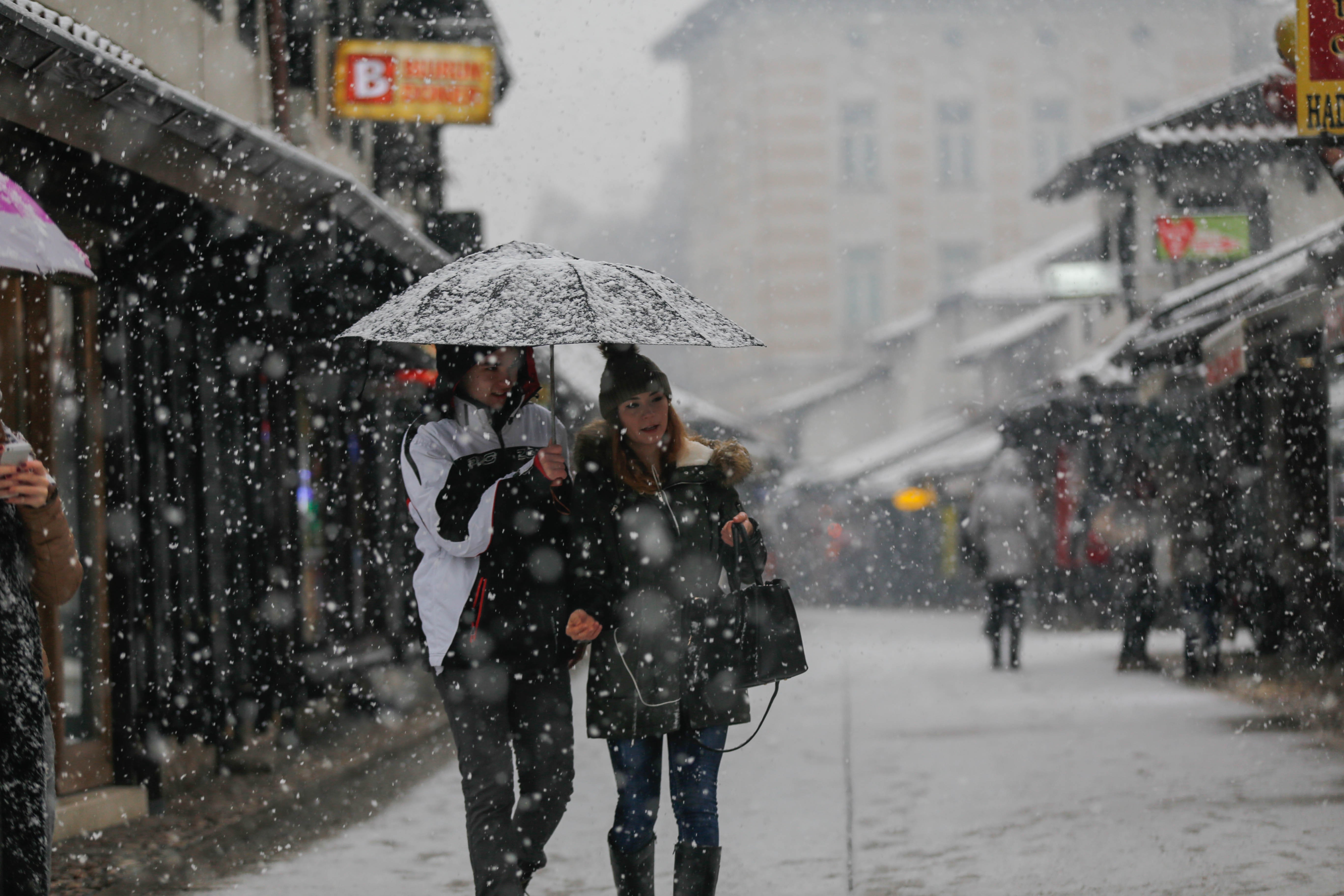 aa_picture_20160103_7204651_high