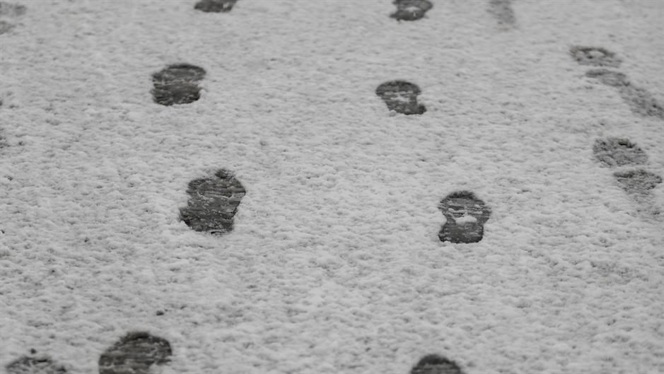 aa_picture_20160103_7204653_high