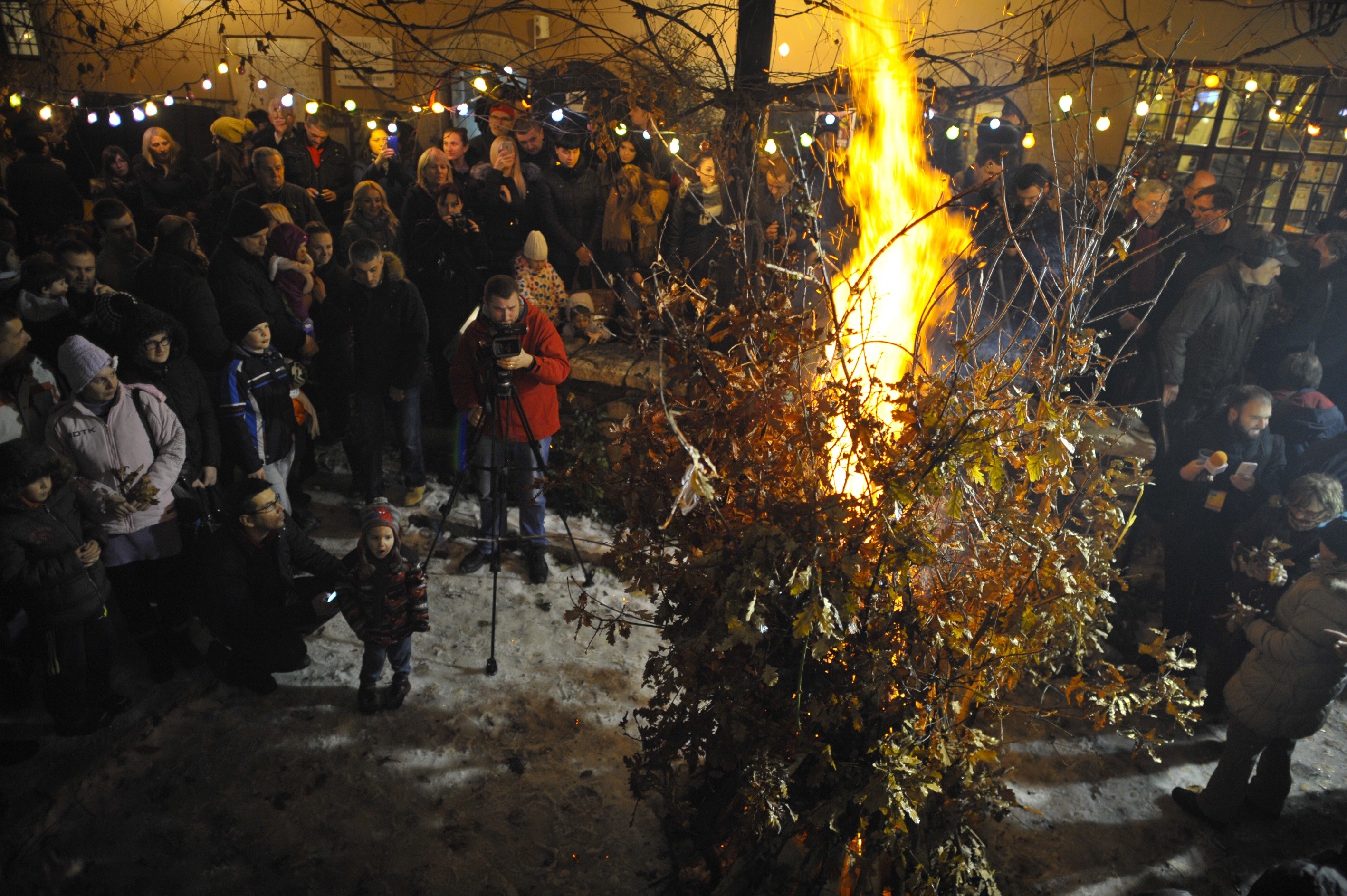 aa_picture_20160106_7231351_high