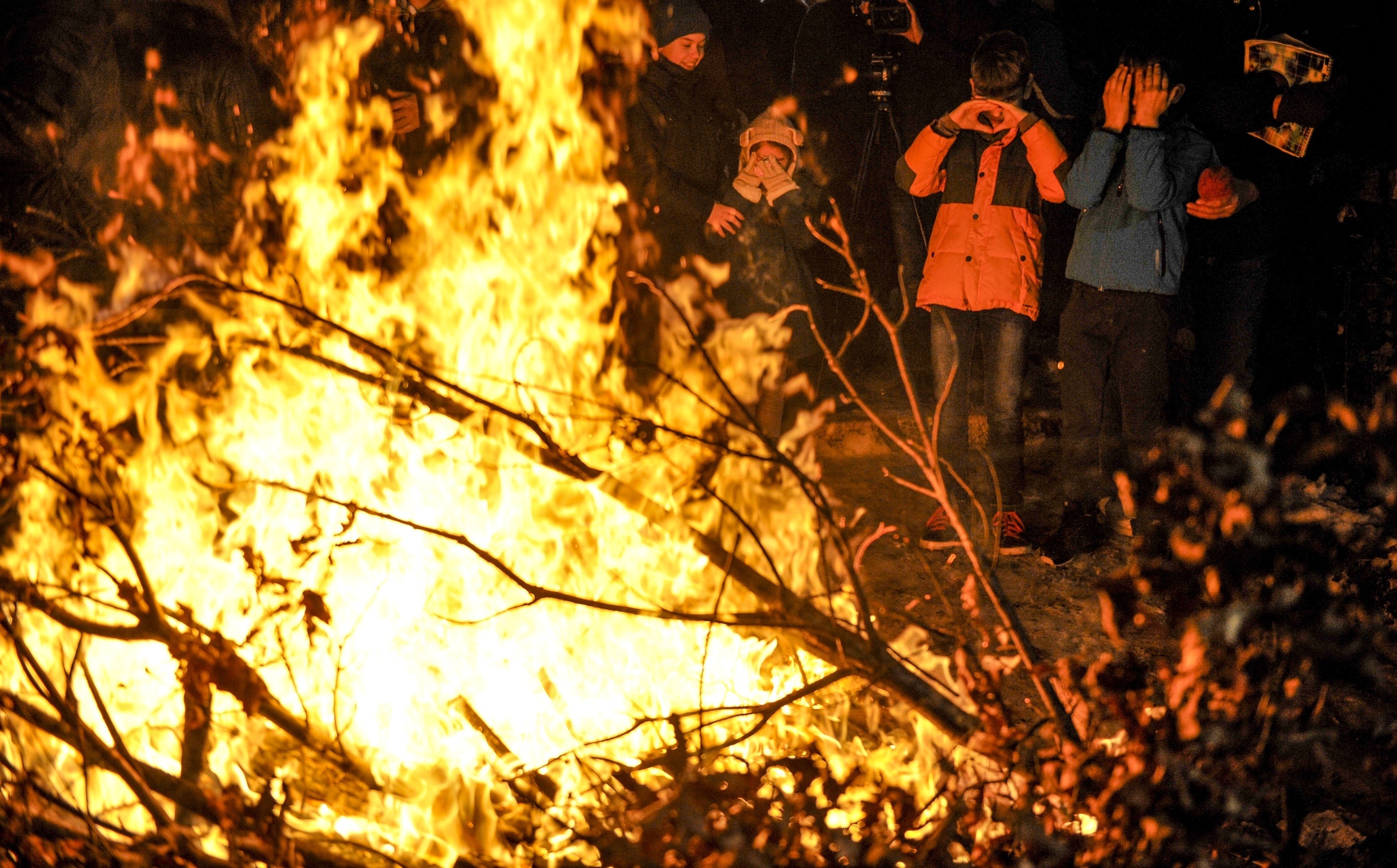 aa_picture_20160106_7231353_high