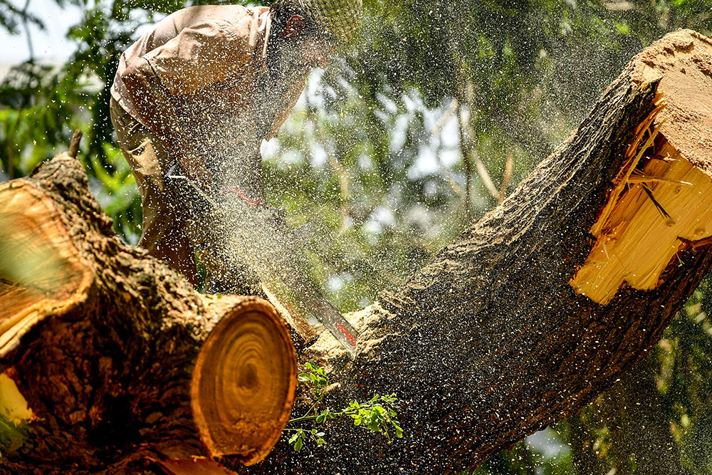 AFP/INDRANIL MUKHERJEE