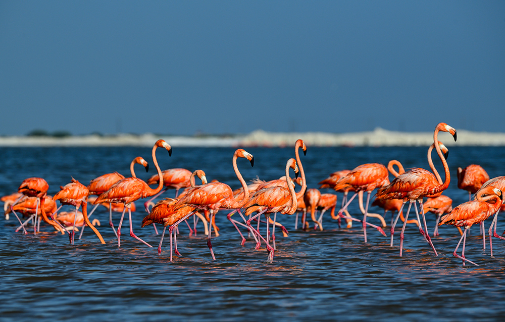 AFP/Ronaldo Schemidt