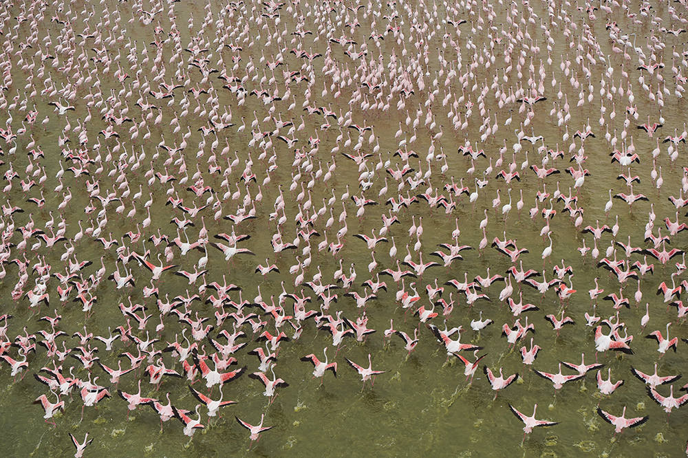 AFP TONY KARUMBA (1)