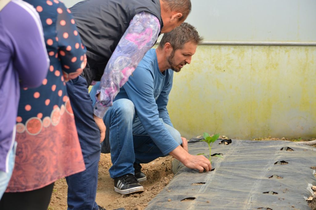 USAID/Sweden FARMA II Project