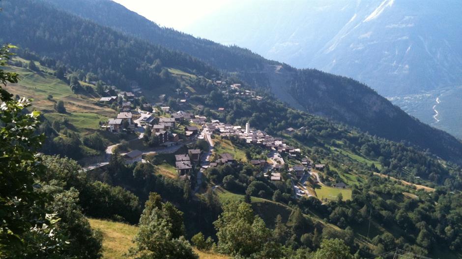 albinen wikimedia commons