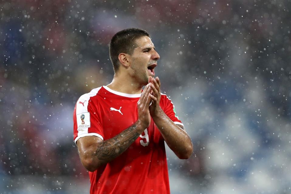 Aleksandar Mitrović