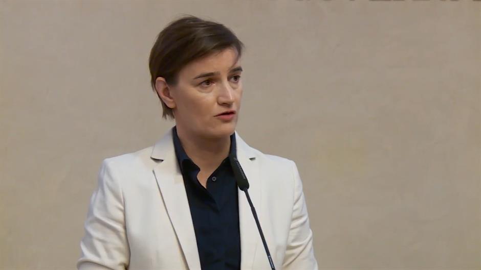 ana brnabić n1