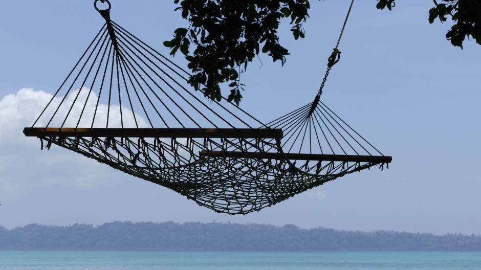 aquatic-plants-beach-daylight-434533