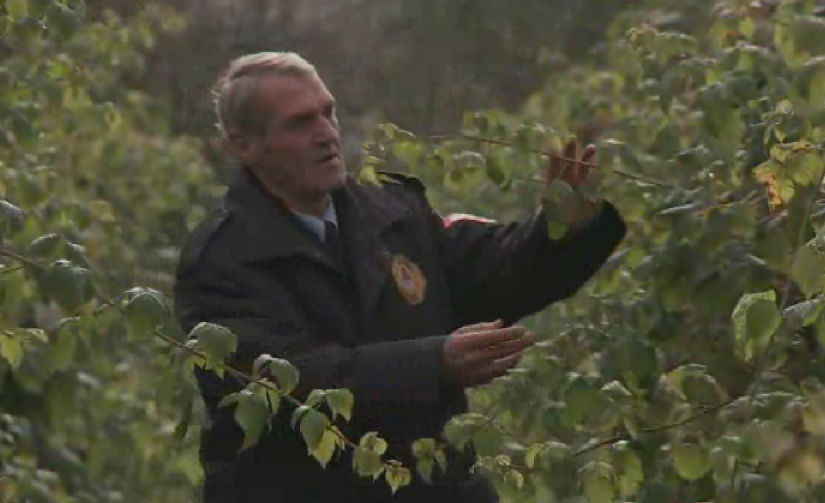 avdagić maline