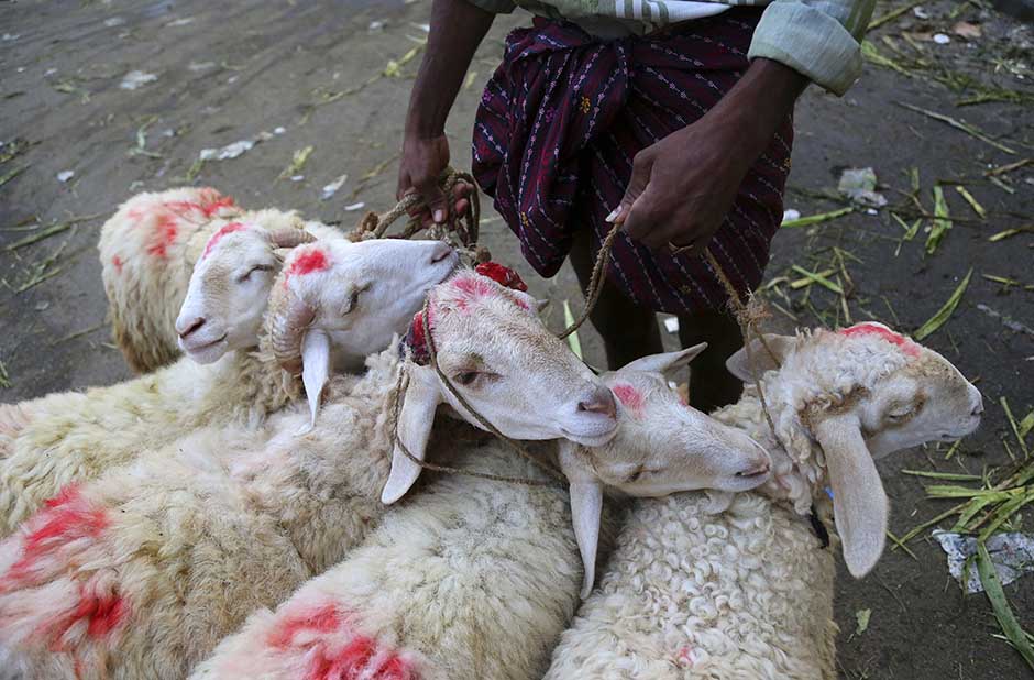 TANJUG/AP/Aijaz Rahi