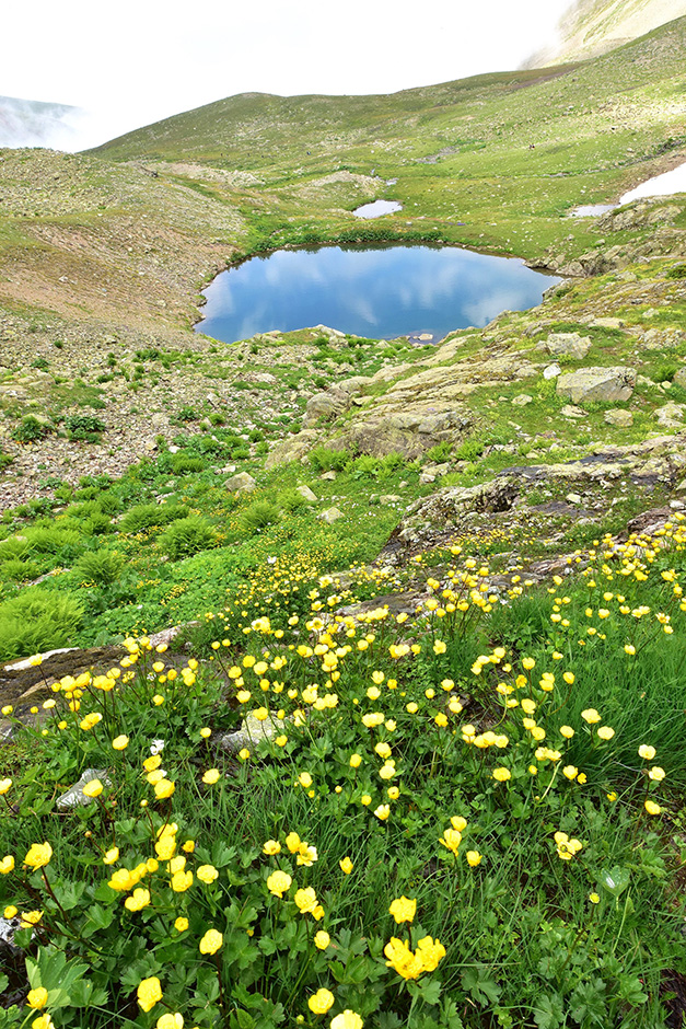 ANADOLIJA/Murat Öner TAŞ