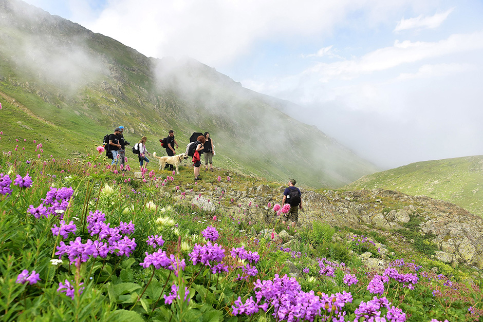 ANADOLIJA/Murat Öner TAŞ