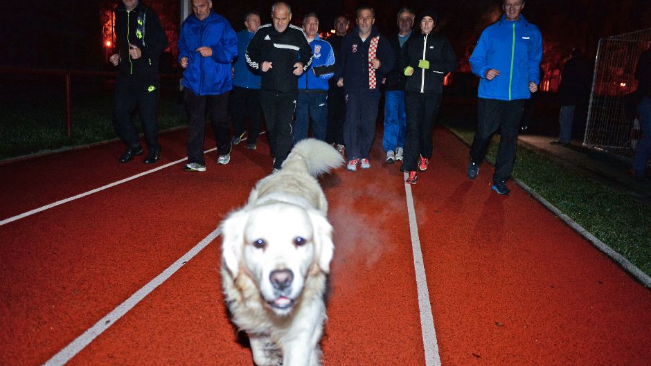 bandic22-201114