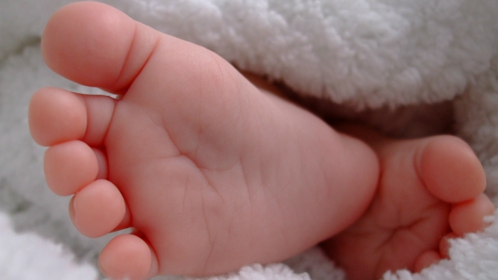 beba - morguefile -  MyJayKay