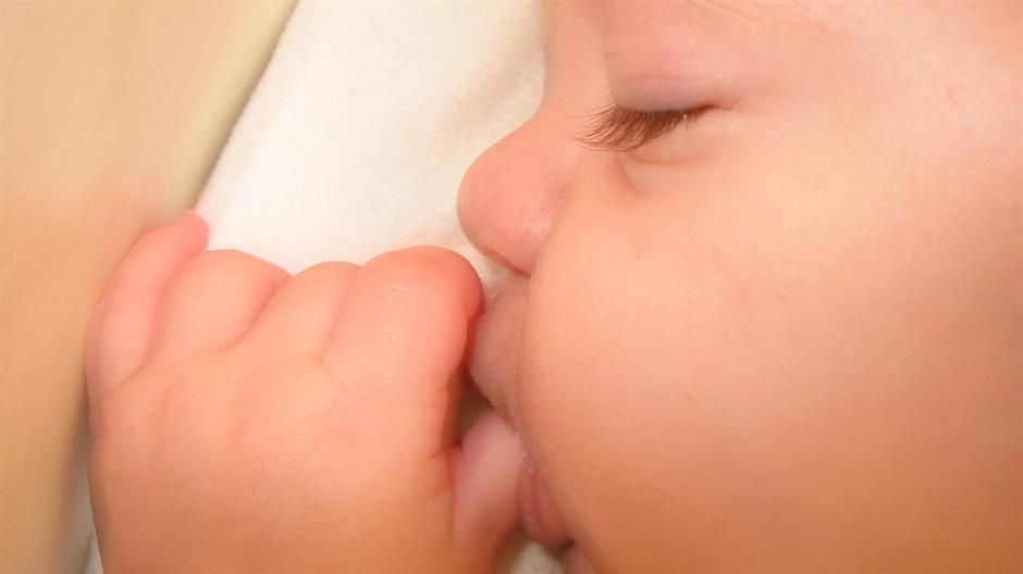 beba sisa palac Freeimages Sally bradshaw