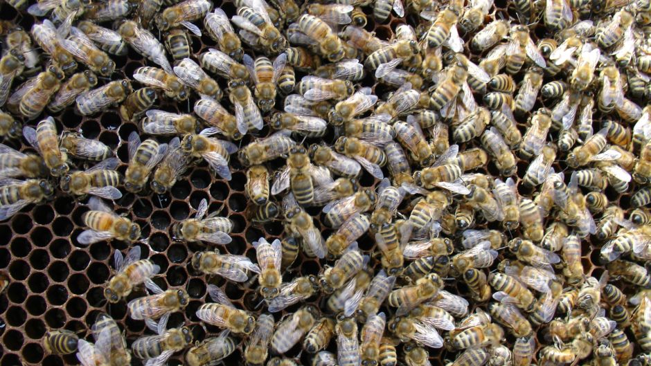 BeFunky_file000796530447