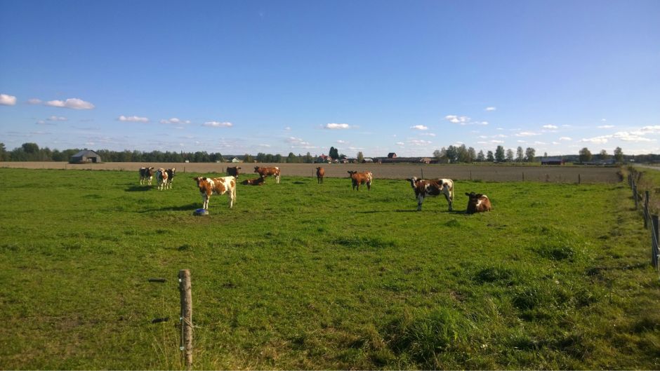 BeFunky_WP_20140913_14_12_42_Pro