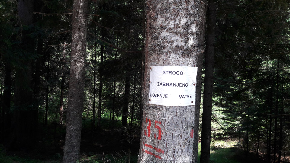 Biambare foto Patria (2)