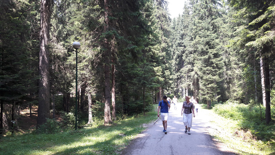 Biambare foto Patria (3)