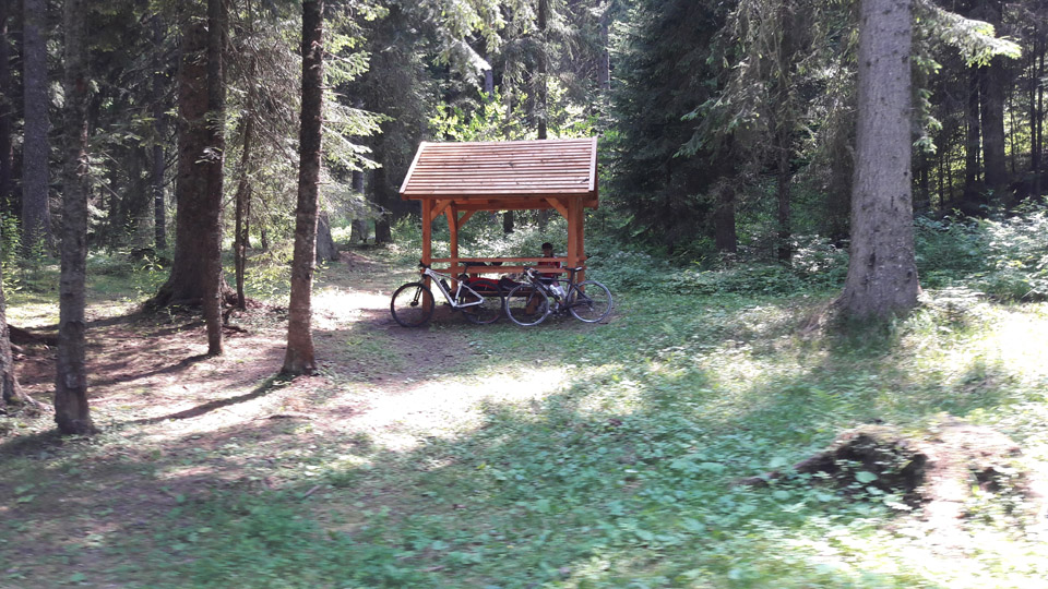 Biambare foto Patria (4)