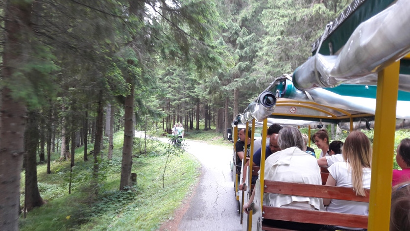 Biambare foto Patria (7) (1)