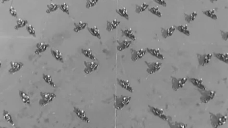 bicikla policija rim1