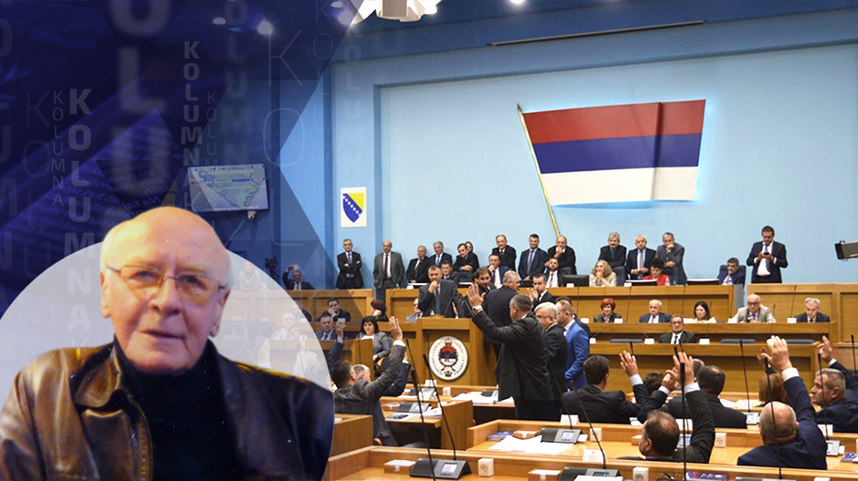 BIH  kolumna poster zija dizdarevic neutralnost 2-1